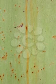 Background of rusty metal, painted in green