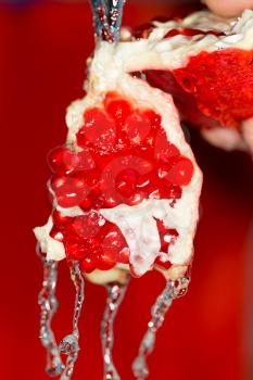 Ripe red pomegranate in water