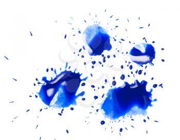 blue spot blotch on white background