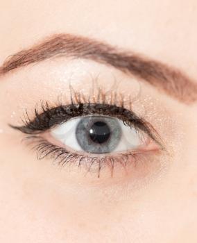 Female eye with long eyelashes close up 
