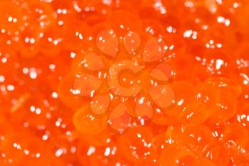 Red caviar as a background. close-up