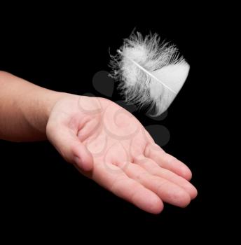Hand and White feather  isolated on black background 