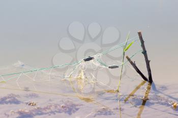 net in the water