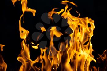 fire flames on a black background
