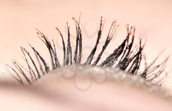Closeup view of eye lashes