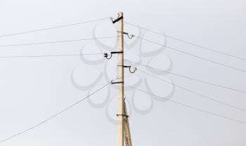 electric pole in nature