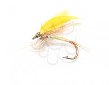 fly for fishing on white background