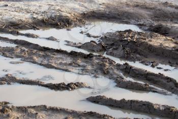 mud puddle on a dirt road