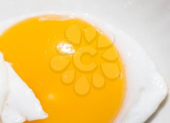 egg yolk. close