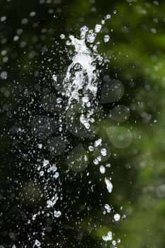 splashing water drop on nature
