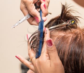 Female hair cutting scissors in a beauty salon