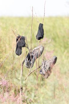 wet clothes to dry on the branches