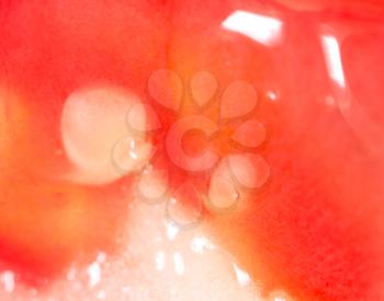 Close up slice of juicy red tomato