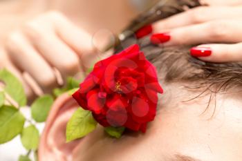 cutting hair with a red rose in a beauty salon