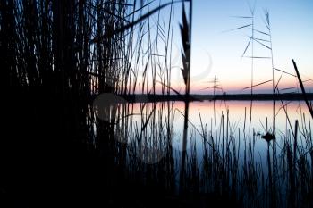 beautiful sunset on the lake