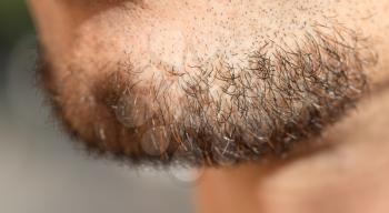 hair on a man's beard. close