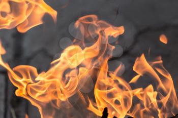 abstract background of a flame of fire