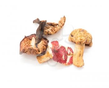 Dried mushrooms on white background