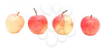 Four apples on a white background