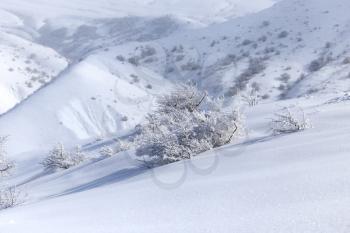 snowy mountains of Tien Shan mountains in winter
