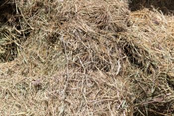 a stack of hay