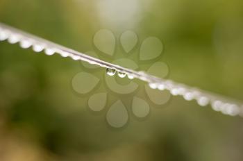 drops of water on a rope. macro