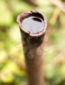rusty pipe with water in nature