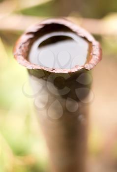 rusty pipe with water in nature