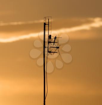 TV antenna on a background of dawn sun