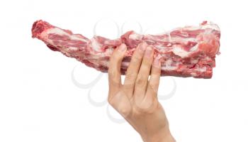 fresh meat in hand on a white background