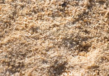 sawdust as background