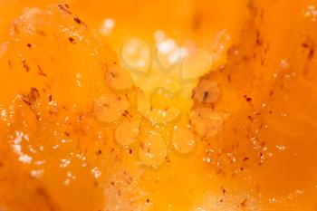pulp ripe persimmons as a background. macro