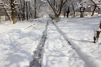 path in the snow on the nature