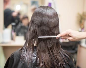combing the hair in a beauty salon