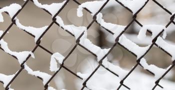 Snow on fence in winter