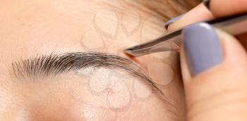 Grooming the eyebrows in a beauty salon