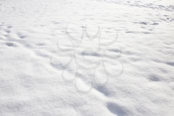 White background of snow on the nature