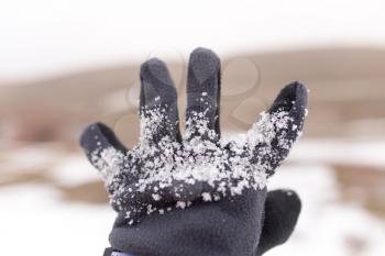 snow on the mitten on the hand