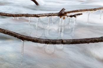 Icicle frozen on a branch of a tree near a mountain stream. The winter nature