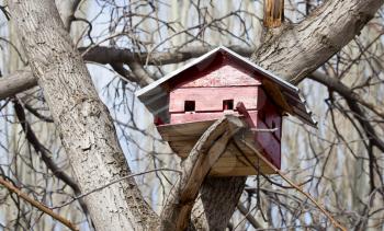 birdhouse on a tree outdoors