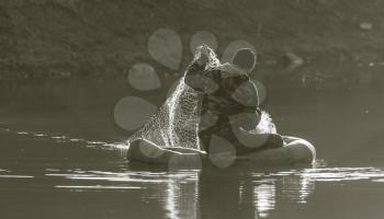 fisherman fishing net on a boat