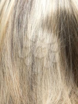 background of women's hair