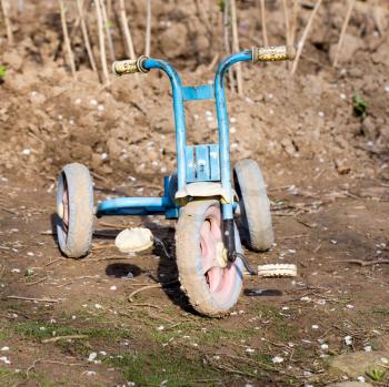 Old children's tricycle on nature