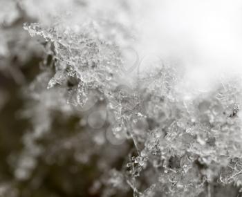 Snow in nature as a background. macro