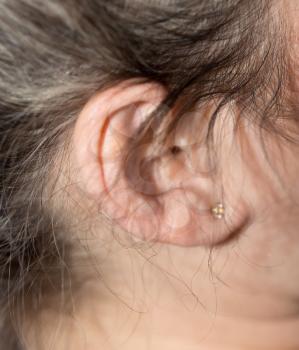 ear with a stud