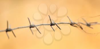 barbed wire as a background