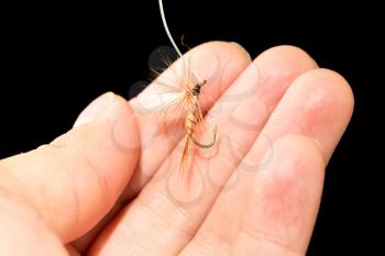 fly to catch fish in a hand on a black background