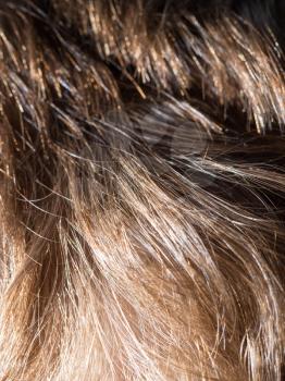 human hair as a background. texture
