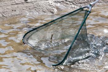 fishing with a net in the river