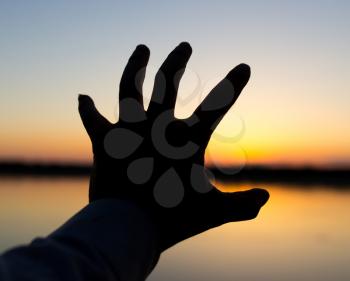 silhouette of the hand on the sunset background